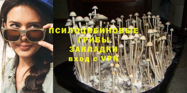 трава Бородино