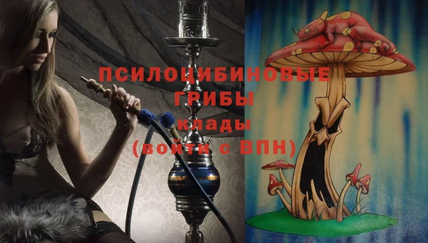трава Бородино