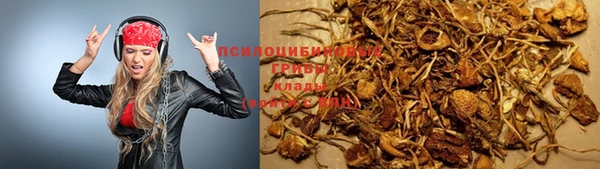 наркотики Богданович