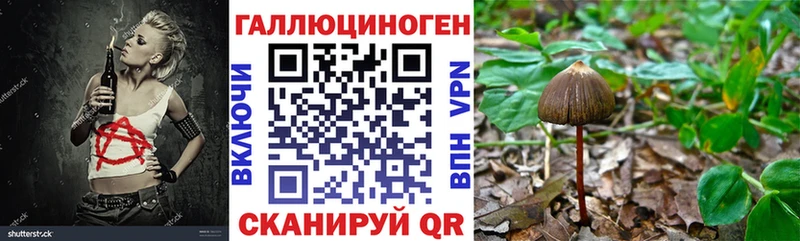 hydra как войти  Озёрск  Галлюциногенные грибы ЛСД 